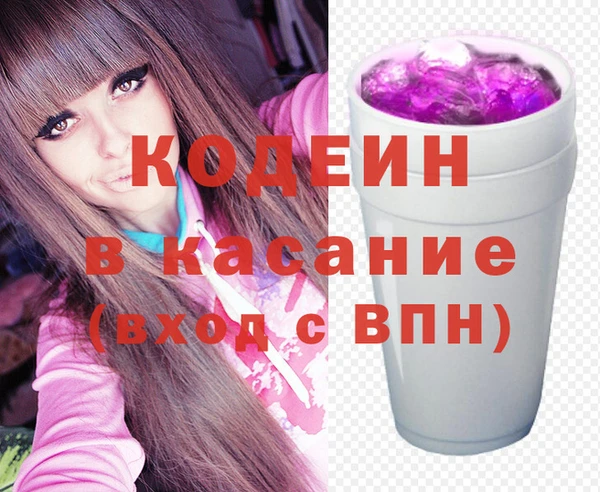 индика Баксан