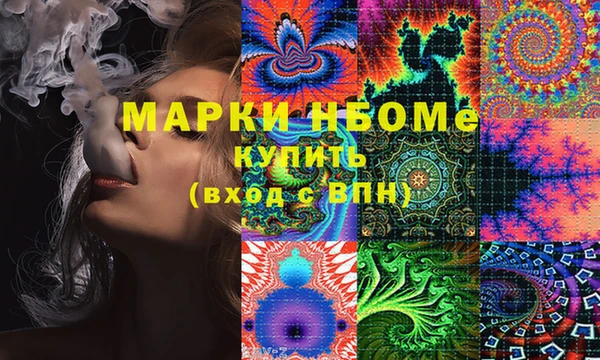 индика Баксан