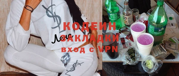 индика Баксан