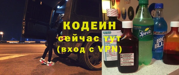 индика Баксан