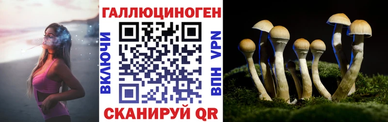 Псилоцибиновые грибы MAGIC MUSHROOMS Лениногорск